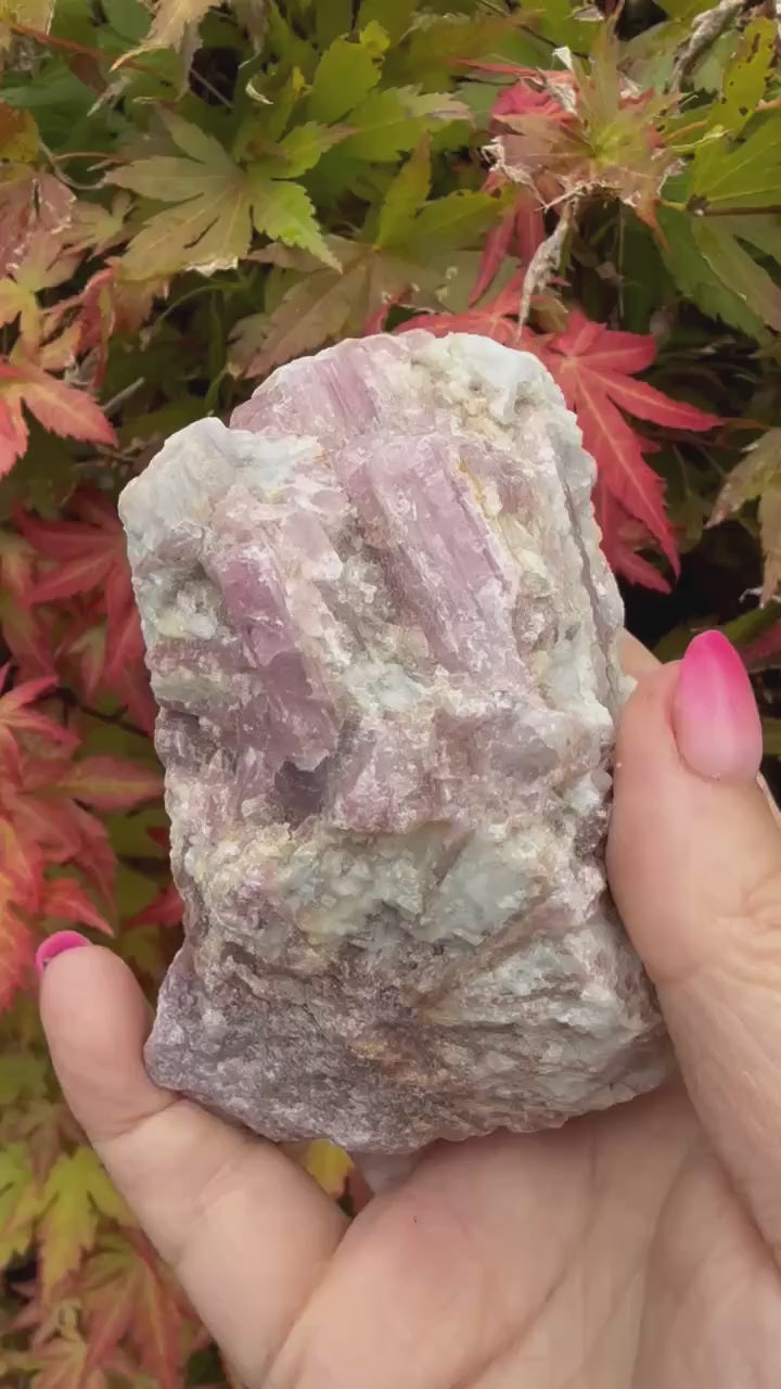 Pink Tourmaline in Matrix Specimen