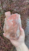 Load and play video in Gallery viewer, Hematite Elestial Quartz Specimen on a Wooden Stand
