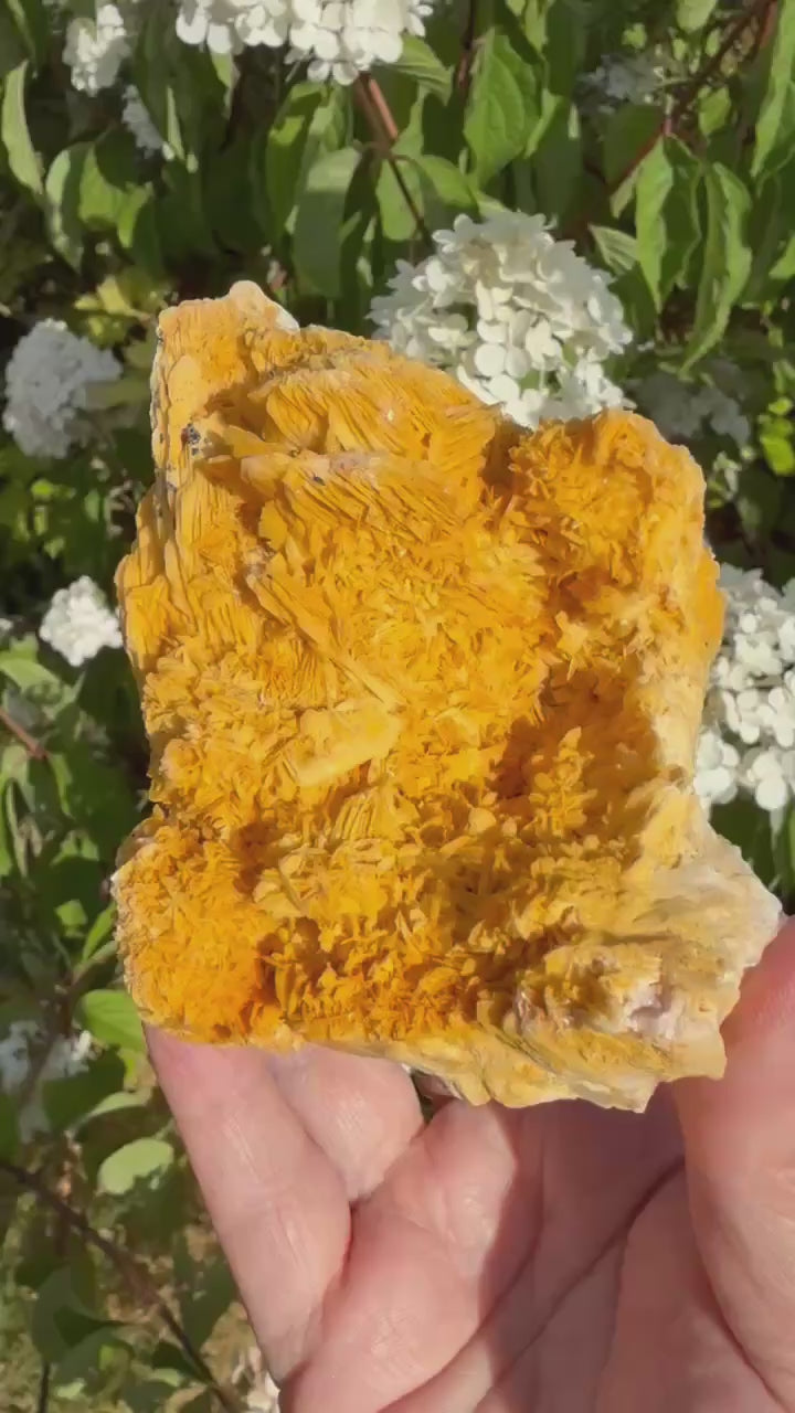 Large Rare Barite (Baryte) on Quartz Specimen from Urberg, Black Forest