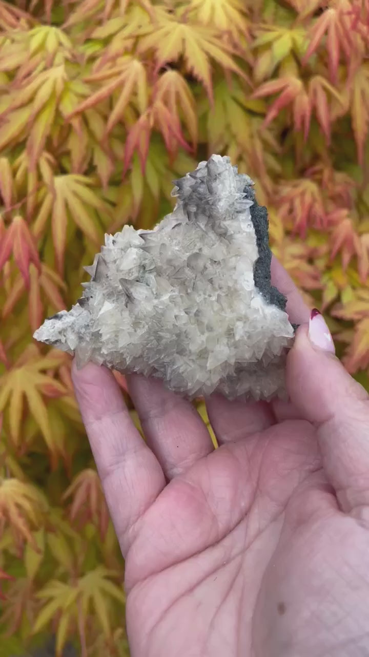 White Dogtooth Calcite with Black Phantoms Specimen
