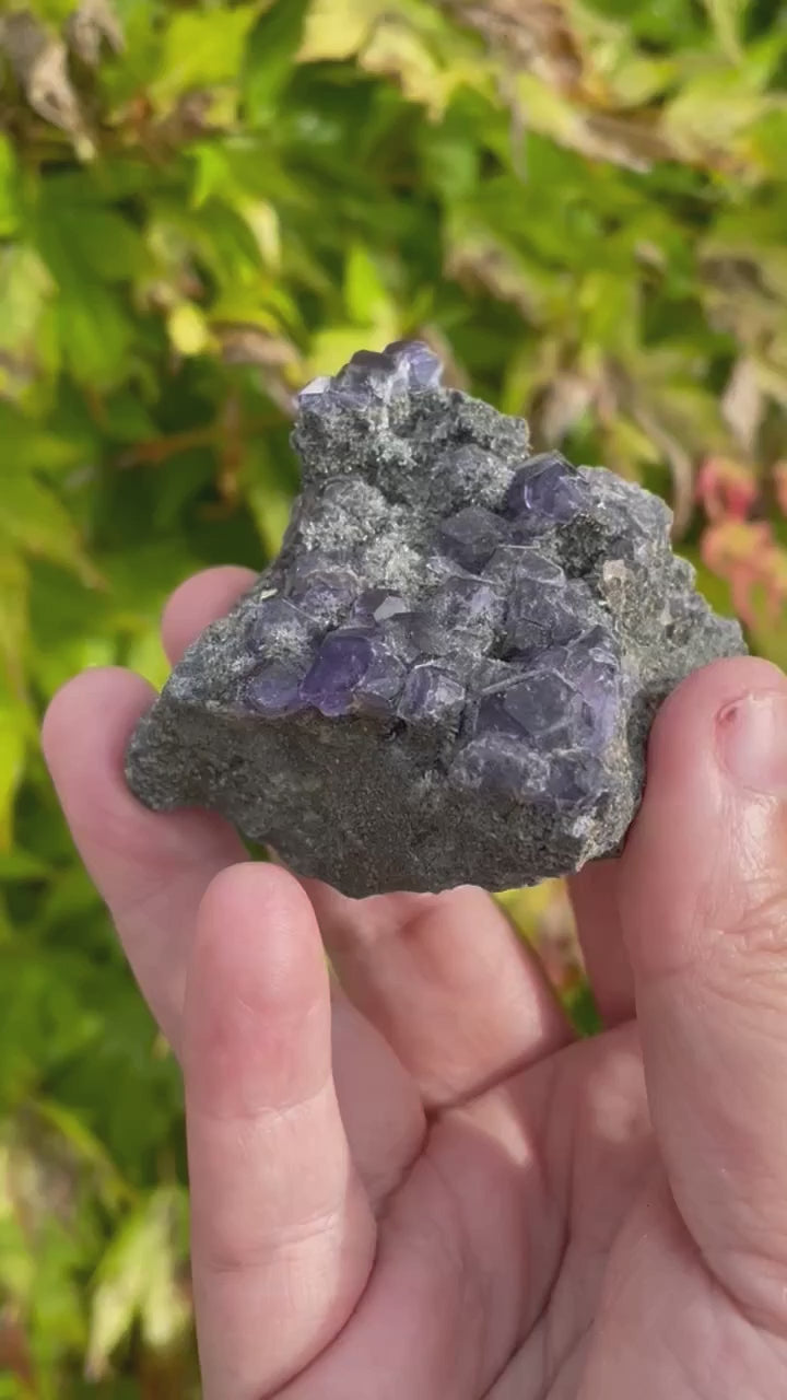 Purple Fluorite Specimen