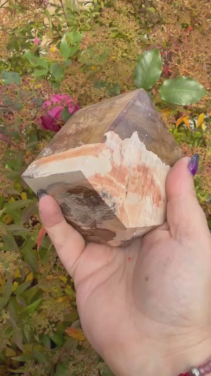 Large Petrified Wood Floating Cube