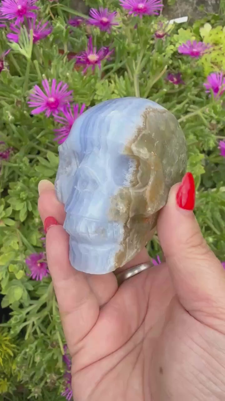 Incredible Blue Lace Agate Skull Carving with Calcite