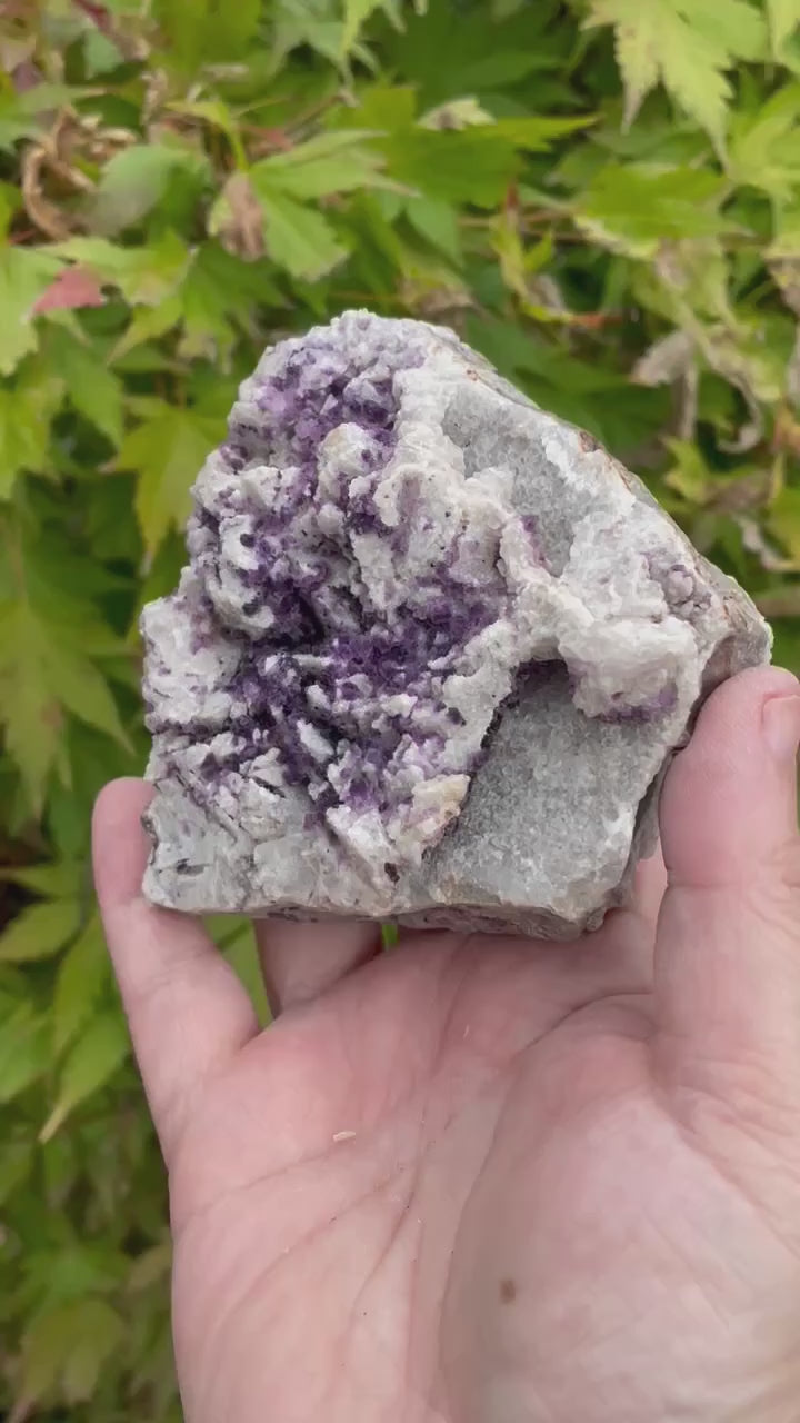Fluorite and Quartz Specimen