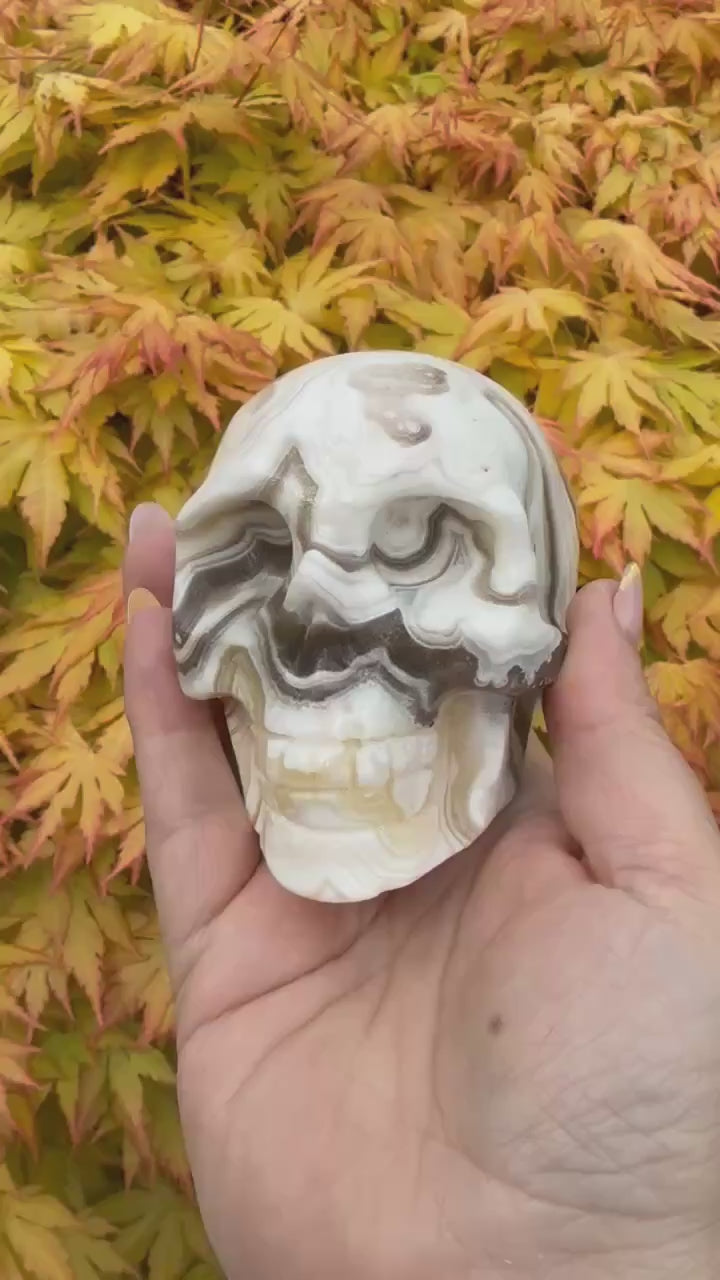 Large Chocolate Calcite Skull Carving
