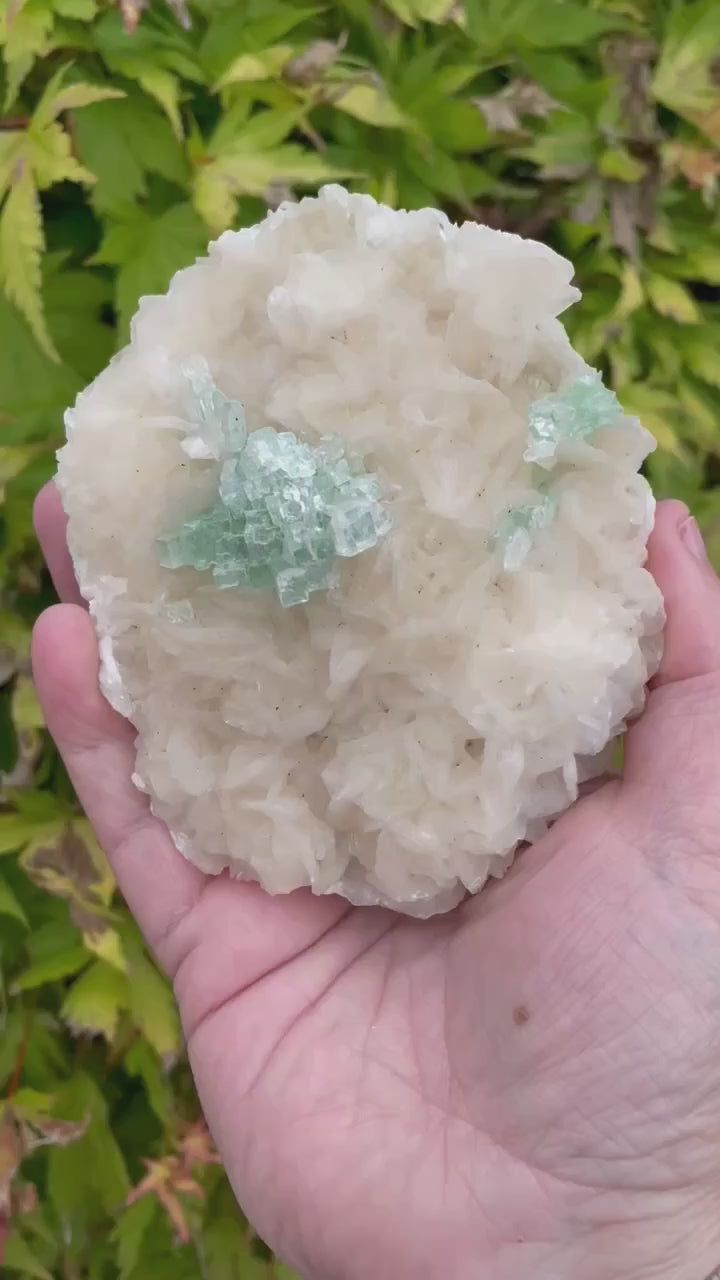 Disco Ball Green Apophyllite Specimen