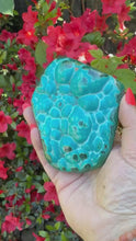 Load and play video in Gallery viewer, Chrysocolla and Malachite Malacholla Specimen
