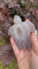 Load and play video in Gallery viewer, Druzy Agate Turtle Carving
