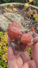 Load and play video in Gallery viewer, Red Hematite Quartz with Pyrite
