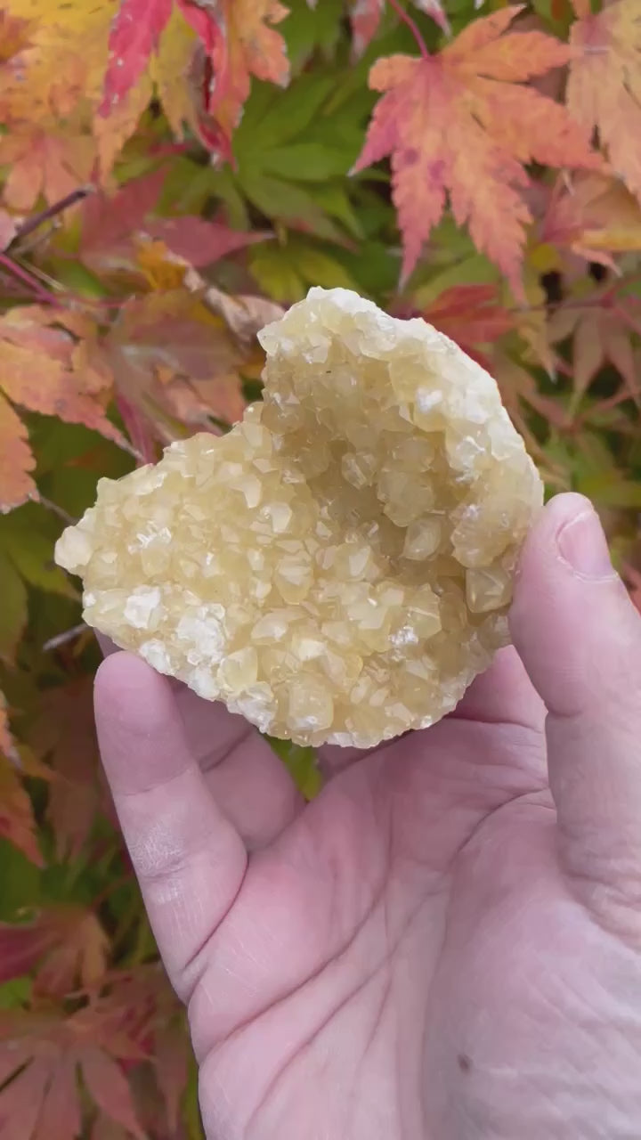 Honey Calcite Cluster Crystal Specimen