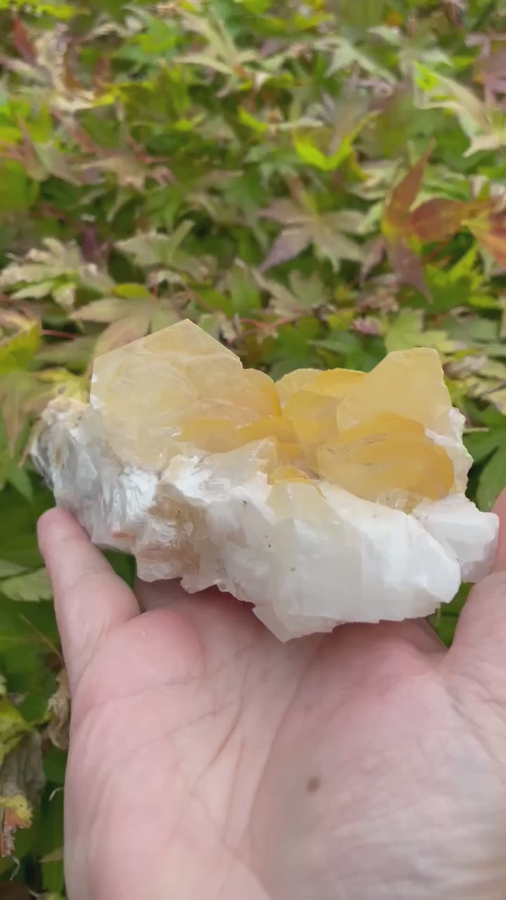 Yellow calcite flakes on Quartz Specimen