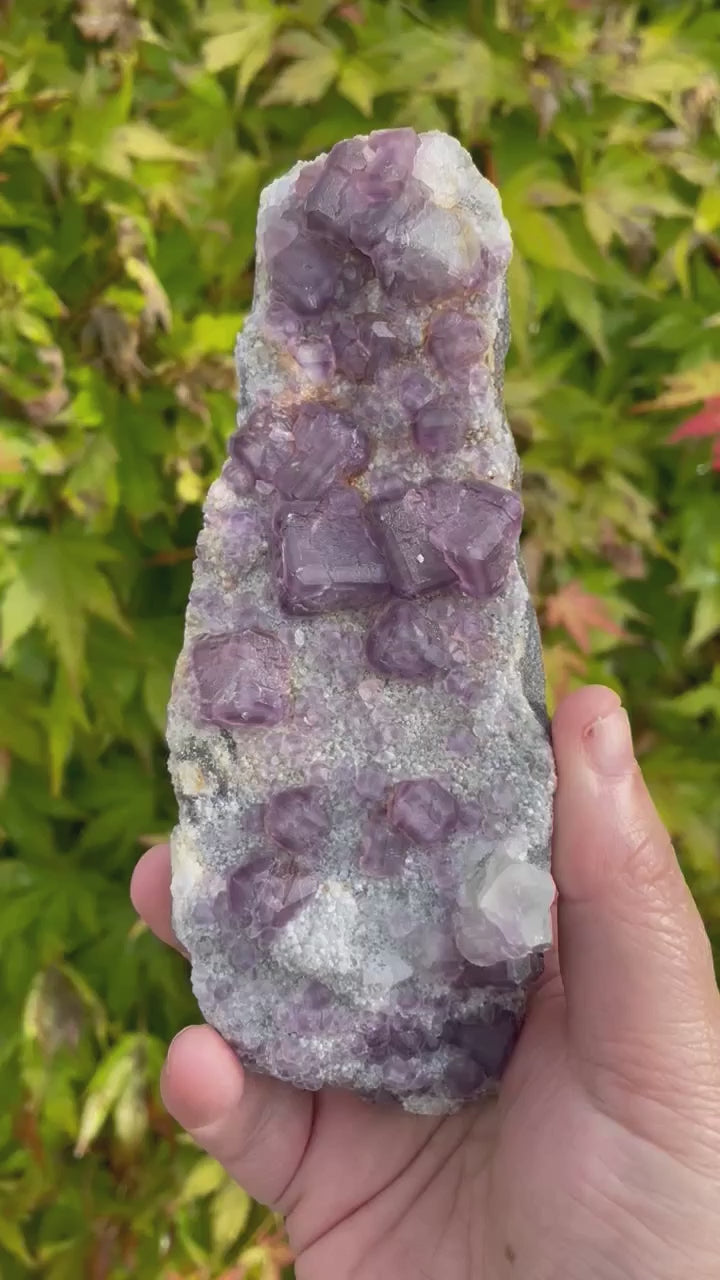 Purple Cubic Fluorite Specimen