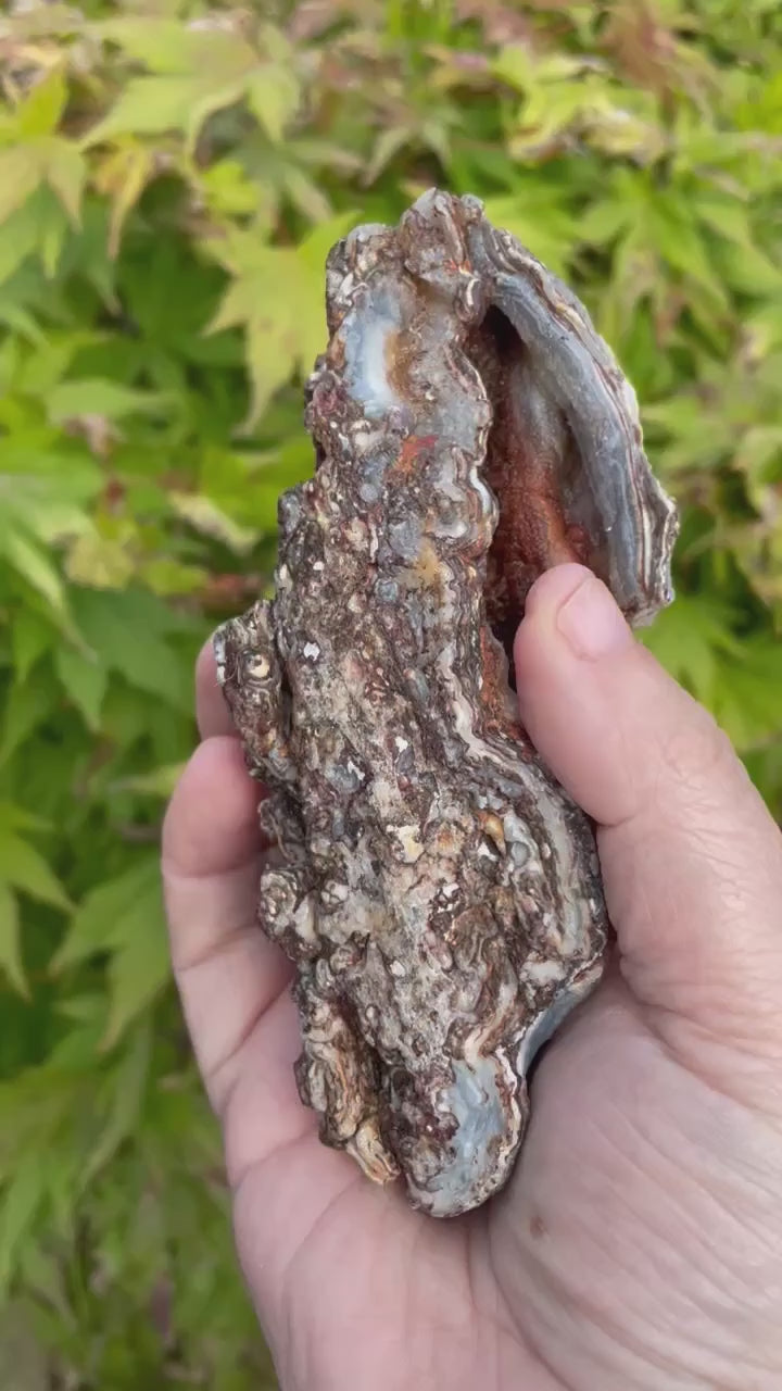 Interesting Chalcedony, Quartz and Agate Specimens