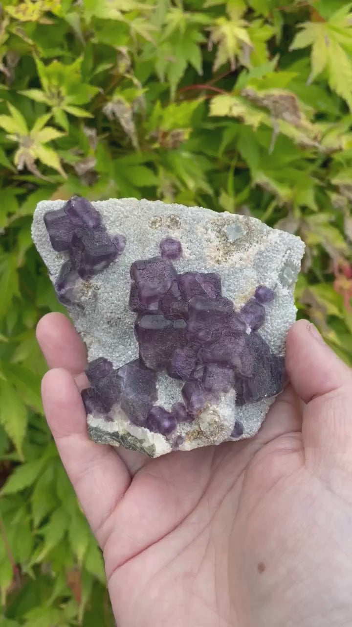 Purple Cubic Fluorite Specimen