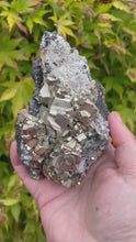 Load and play video in Gallery viewer, Pyrite and Galena Specimen
