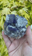 Load and play video in Gallery viewer, Large Diana Maria Mine Fluorite Milky Way Specimen
