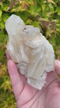 Load and play video in Gallery viewer, Sandwich Calcite Specimen

