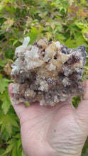 Load and play video in Gallery viewer, Rams Horn Gypsum Specimen
