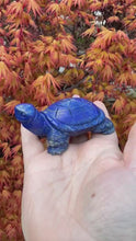 Load and play video in Gallery viewer, Quality Lapis Lazuli Tortoise Carving
