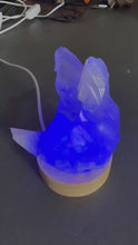 Load and play video in Gallery viewer, Multi Colour USB Round Lightbox
