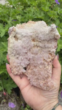 Load and play video in Gallery viewer, Large Pink Amethyst Flower Specimen
