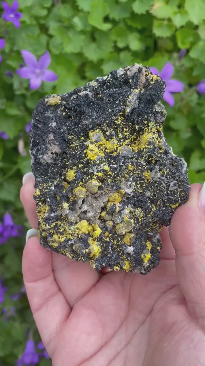 Campylite Specimen from Cumbria UK
