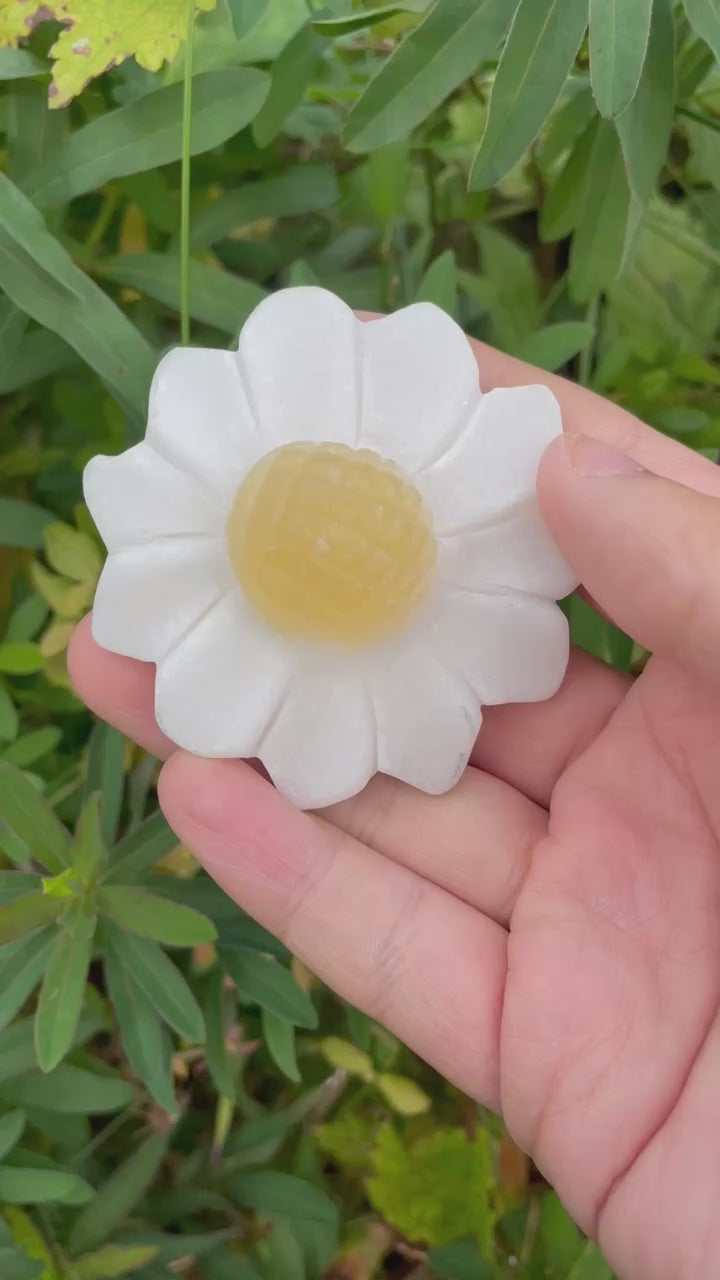 Calcite Daisy Flower