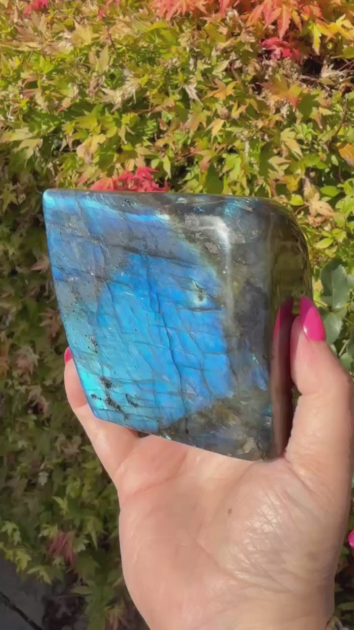 Blue Flash Labradorite Freeform from Madagascar