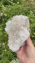 Load and play video in Gallery viewer, Large Freestanding Needle Quartz from Tibet
