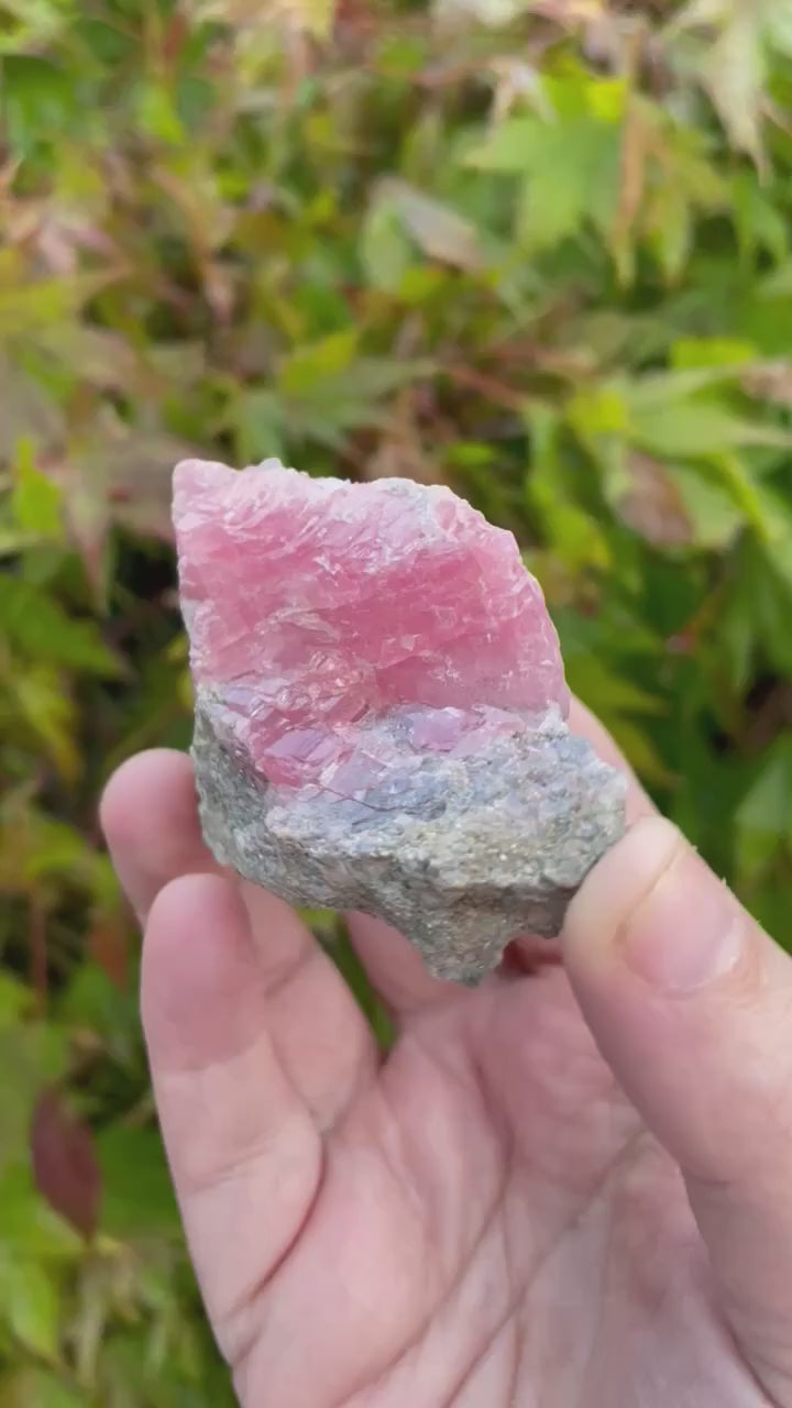Gemmy Rhodochrosite and Pyrite Specimen