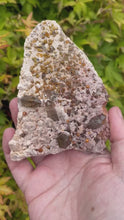 Load and play video in Gallery viewer, Smoky Quartz and Garnet Specimen
