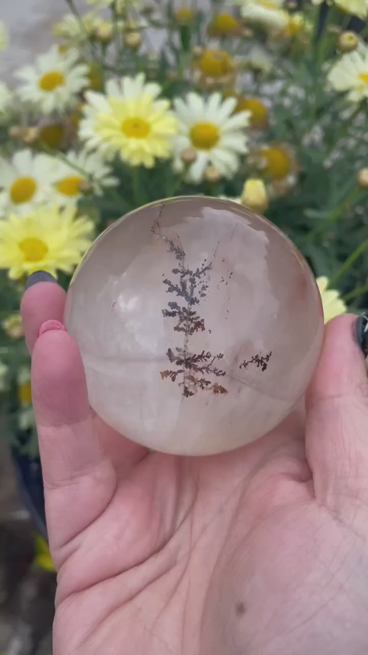 Rare Clear Dendritic Fluorite Sphere