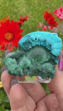 Load and play video in Gallery viewer, Chrysocolla and Malachite Specimen from Congo
