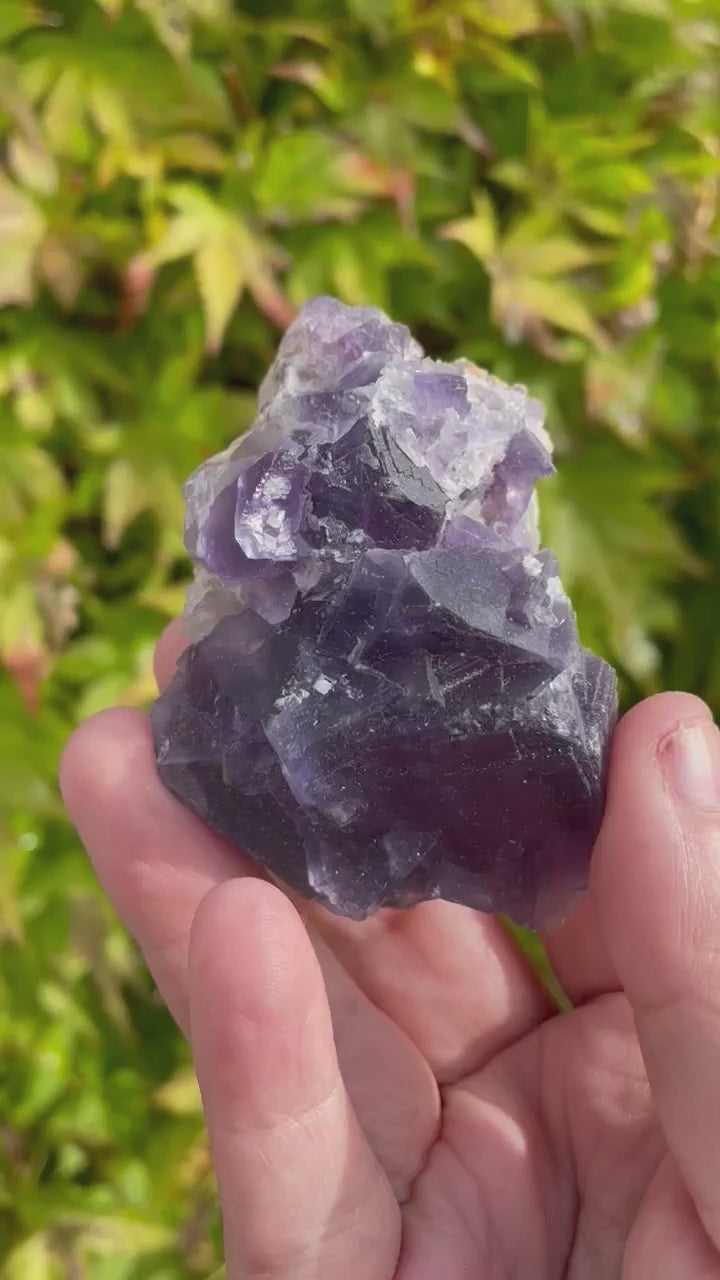 Purple QR Code Fluorite Specimen