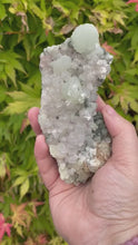 Load and play video in Gallery viewer, Prehnite and Quartz Specimen
