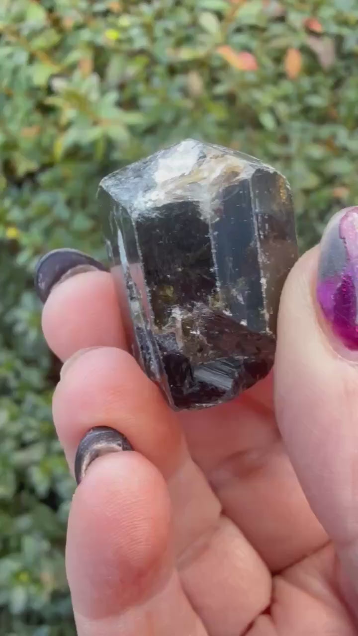 Terminated Dravite Tourmaline Specimen from Nepal