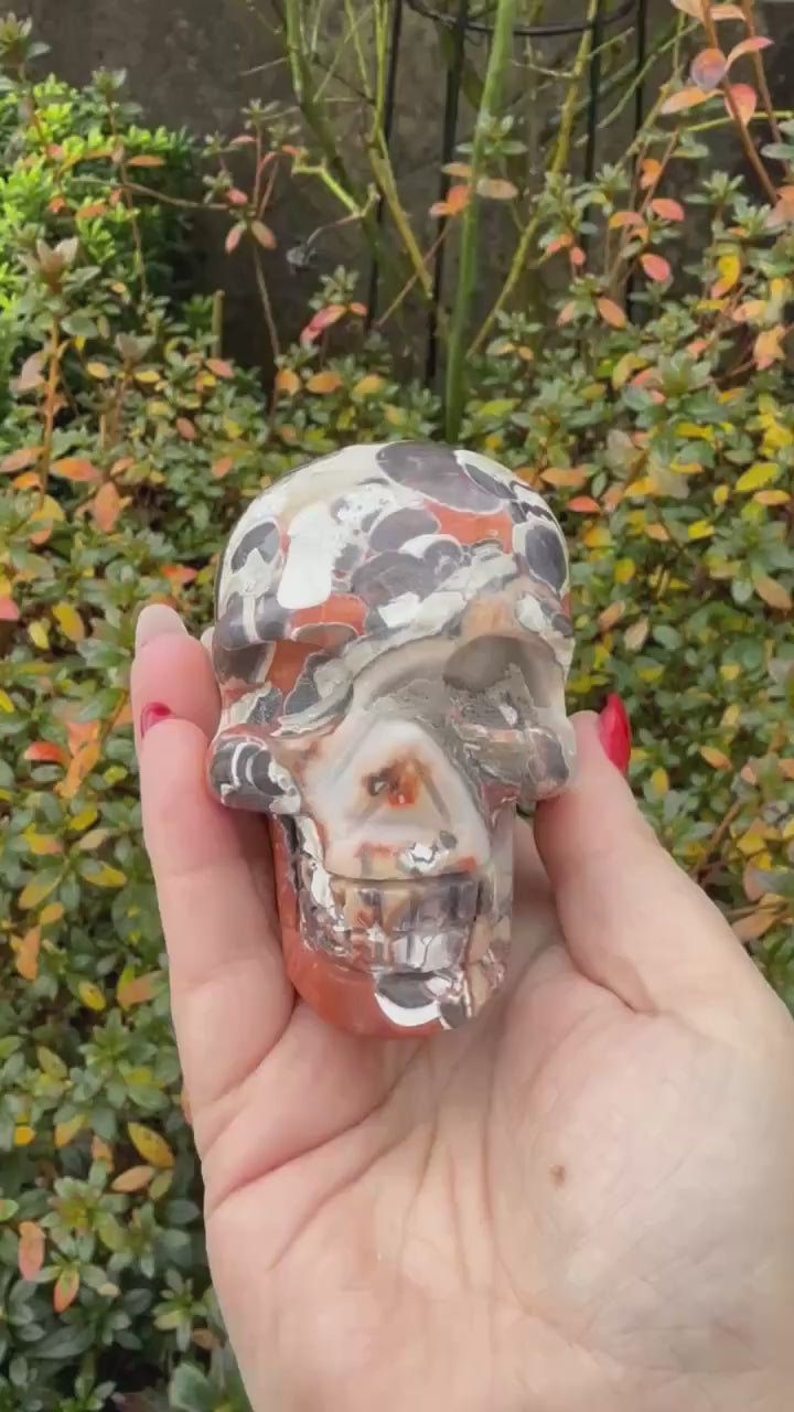 Money Agate Skull Carving