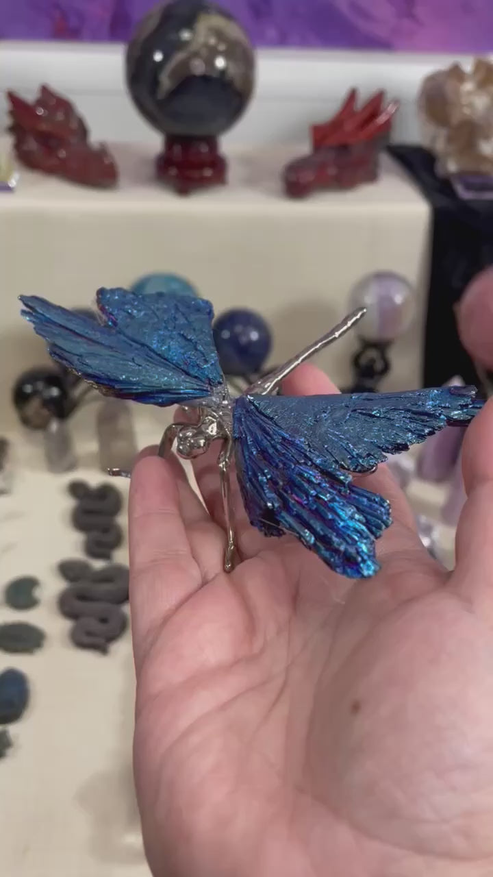 Kyanite Dragonfly