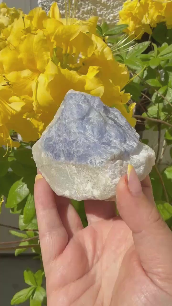 Rare Large UV Reactive Tenebrescent Hackmanite with Sodalite Specimen