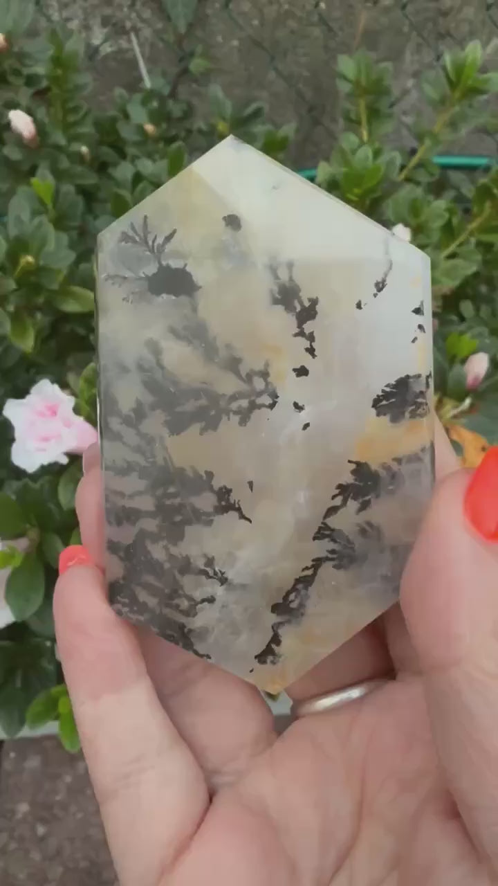 Dendritic Quartz Slice Specimen