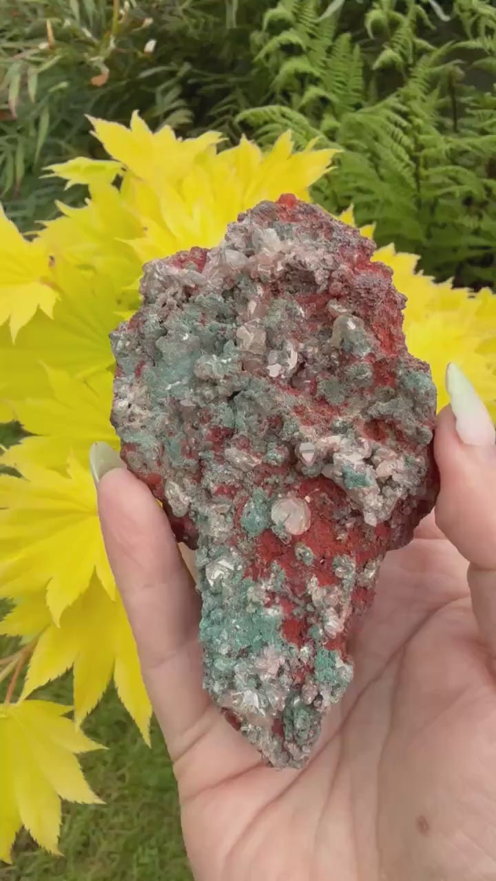 Rare Rosasite with Cerussite Specimen from Tsumeb