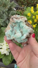 Load and play video in Gallery viewer, Large Hemimorphite Specimen from Mexico
