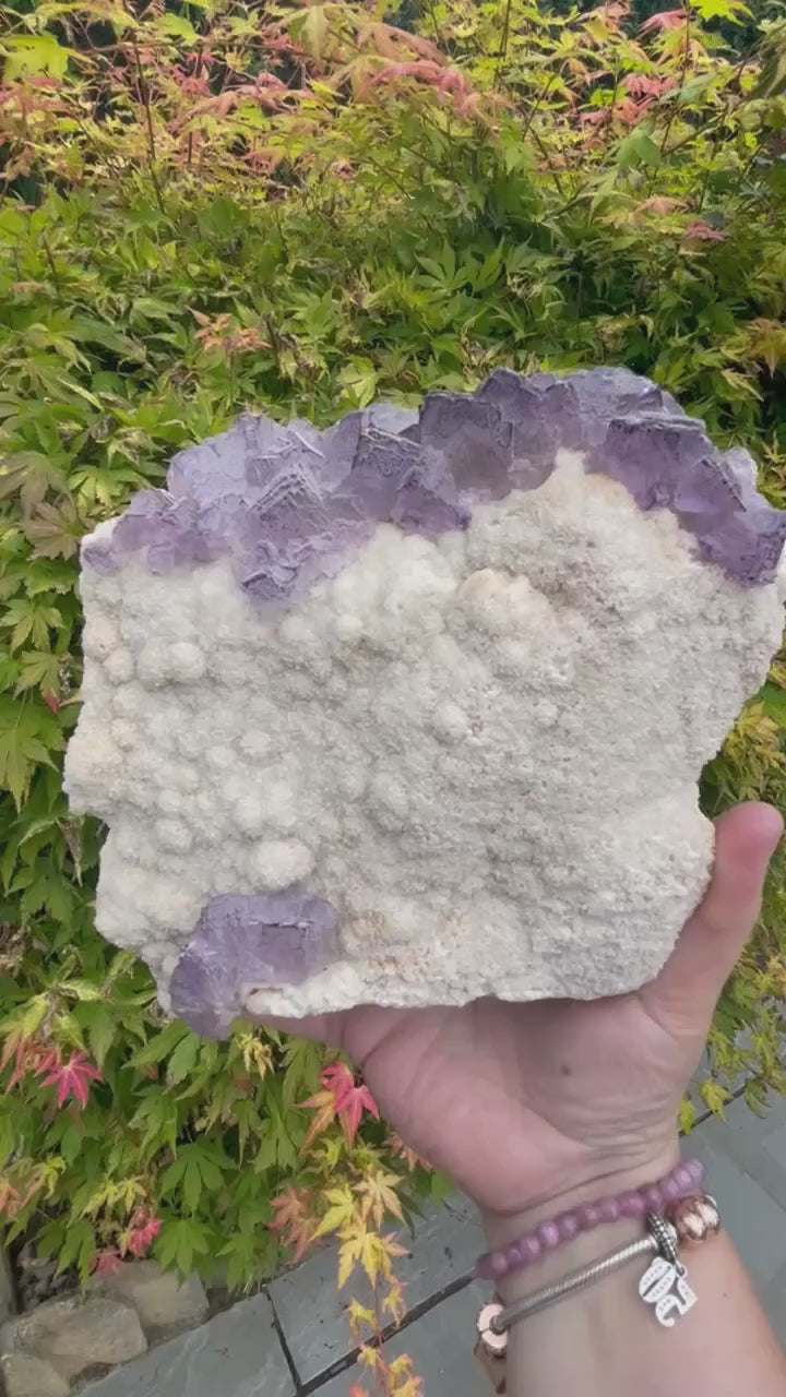 Statement Purple Fluorite Cluster on a Stand Specimen