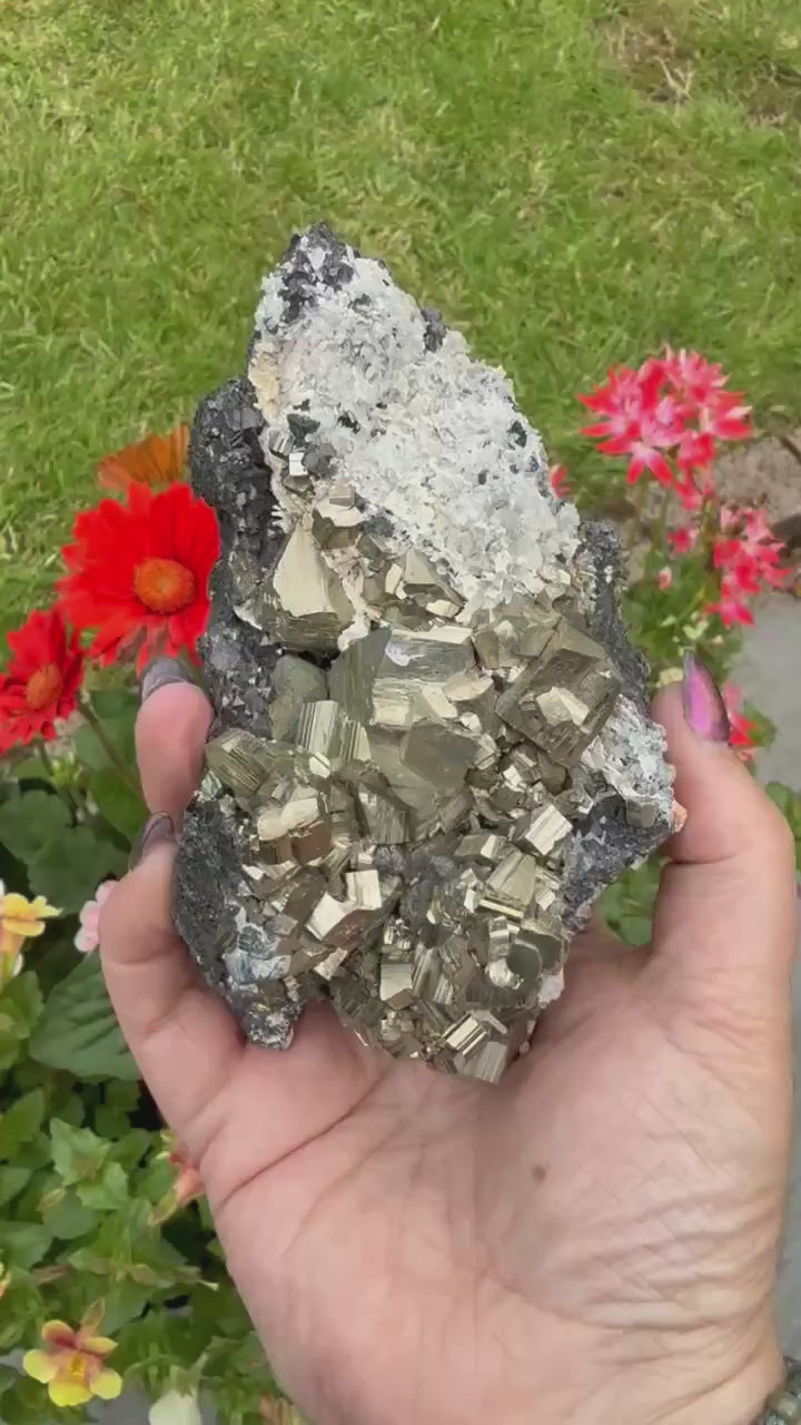 Large Pyrite and Galena Specimen from Bulgaria