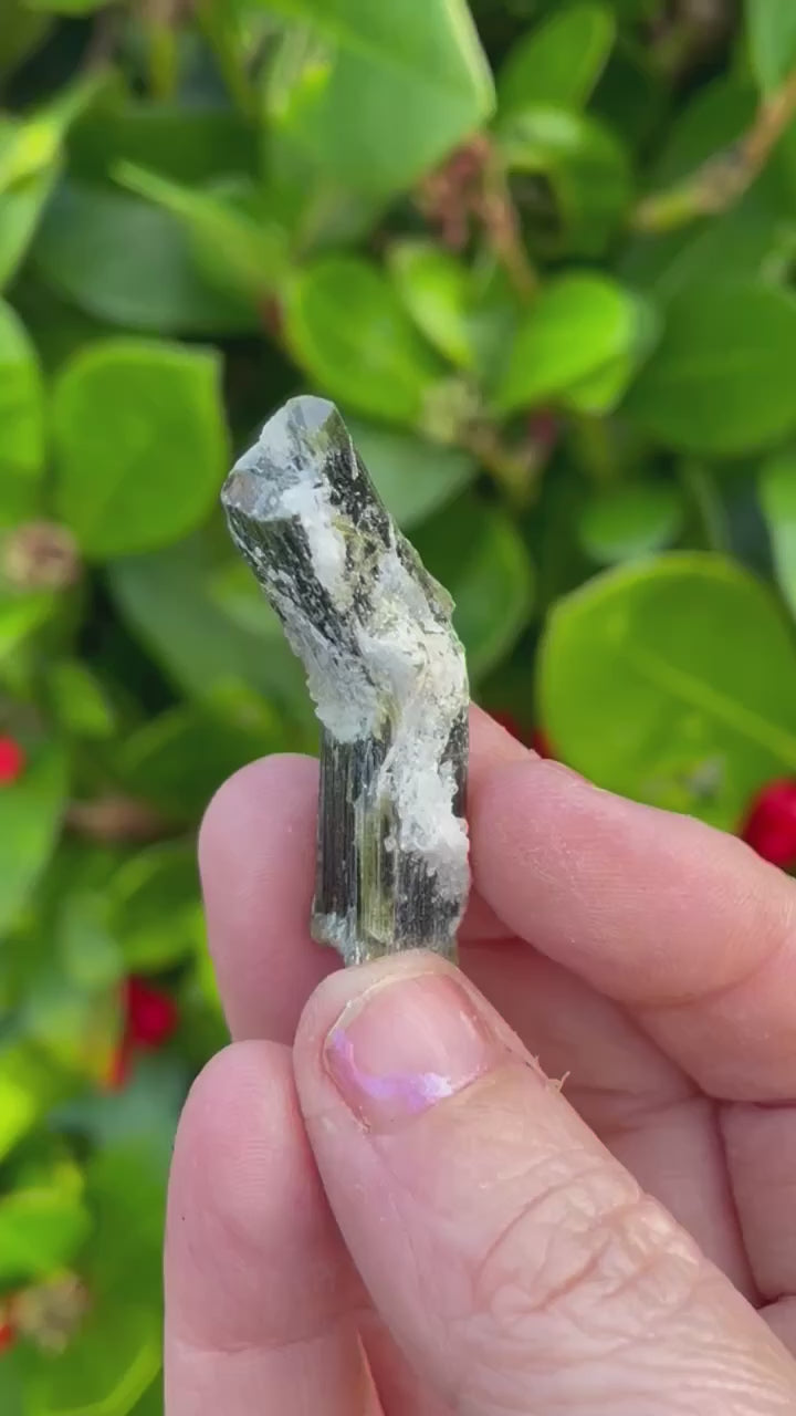 Green Tip twin Tourmaline Crystal Specimen