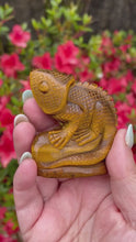 Load and play video in Gallery viewer, Tigers Eye Chameleon Carving
