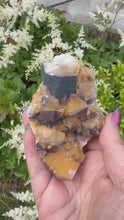 Load and play video in Gallery viewer, Very Rare Red Wine and Yellow Calcite Specimen from Daye
