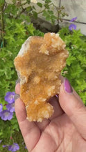 Load and play video in Gallery viewer, UV Reactive Orange Calcite Specimen from Wenshan
