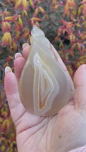 Load and play video in Gallery viewer, Druzy Agate Shell Carving
