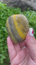 Load and play video in Gallery viewer, Bumble Bee Jasper Palmstone
